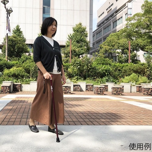 104756 ヒューゴステッキ