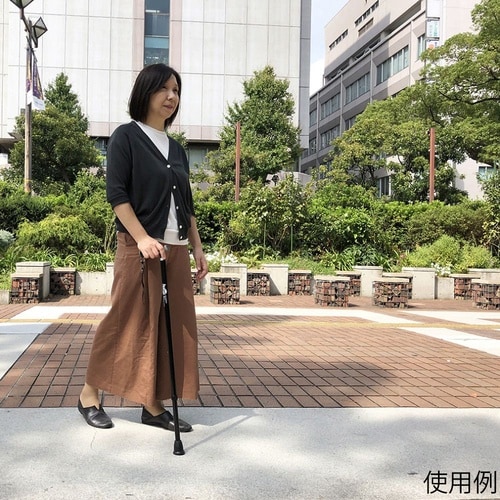 104750 ヒューゴステッキ