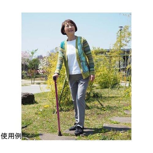 バンブーステッキ ワイド ワインレッド