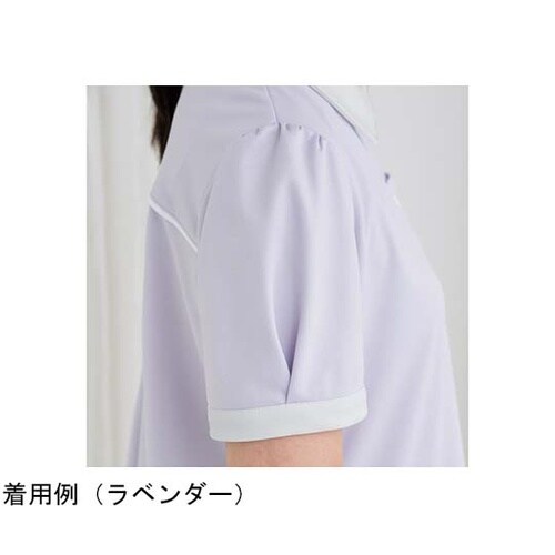 レディスニットシャツ ローズ LL KZ