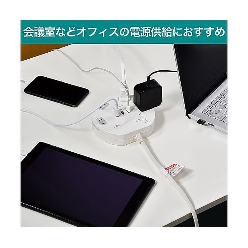 耐雷丸形 4P 2m USBタップ WL