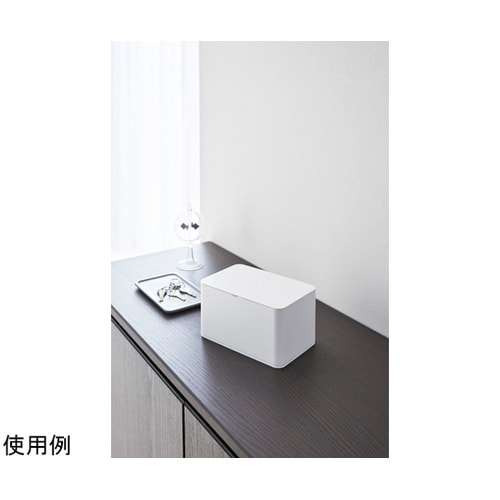 マスクケース スマート ホワイト 428