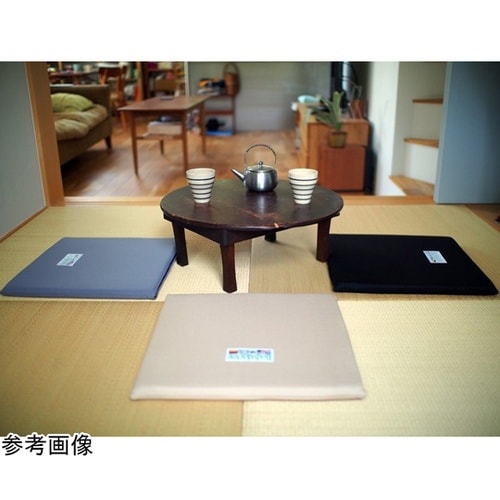 ボディドクター ザ・シート ブラック B