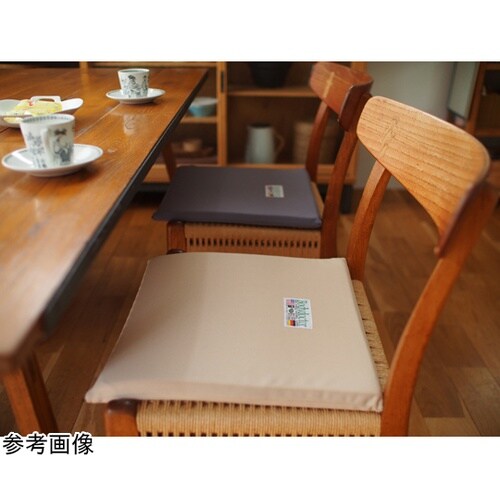 ボディドクター ザ・シート ベージュ B