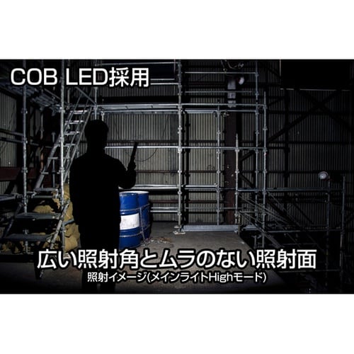 Ganz 薄型ヘッド作業灯シリーズ GZ