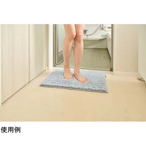 SUSU 抗菌ストロングWバスマットEC