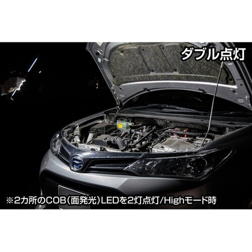 Ganz バータイプワークライト 800