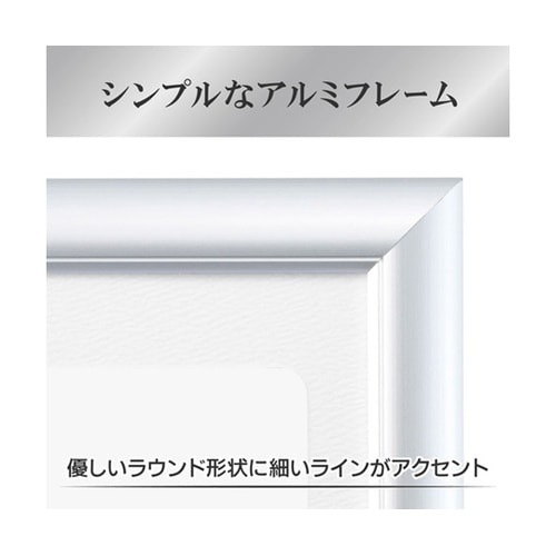 アルミ額 ペオリアプラス A4 SV F