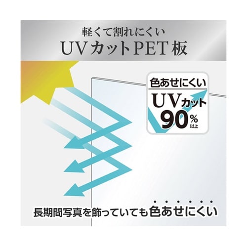 アルミ額 ペオリアプラス A4 SV F