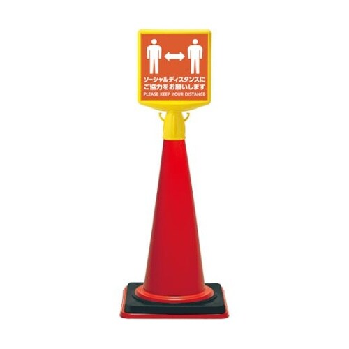 WT964 コーンサイントップ2