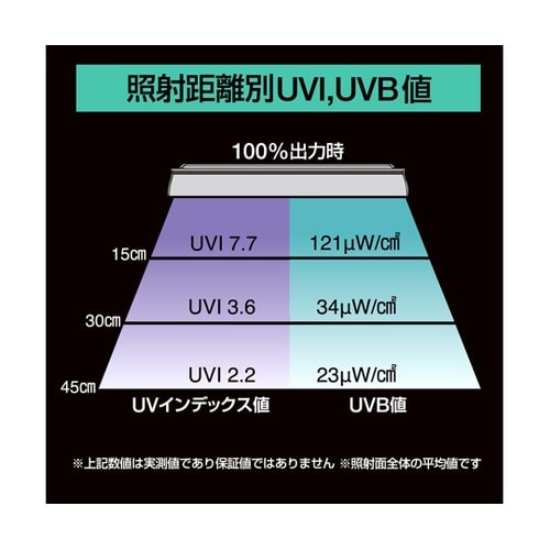 Bar Type SOLARIUM UV