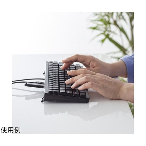 USBハブ付コンパクトキーボード SKB
