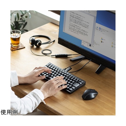 USBハブ付コンパクトキーボード SKB