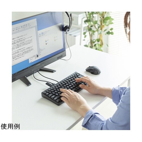 USBハブ付コンパクトキーボード SKB