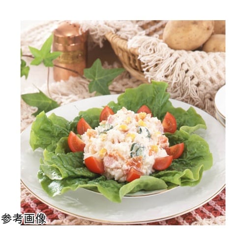 ジューサーマッシャー #587