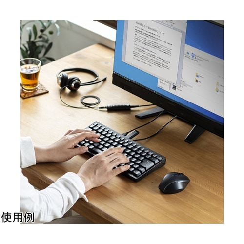 USBハブ付コンパクトキーボード SKB