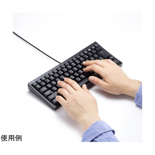 USBハブ付コンパクトキーボード SKB