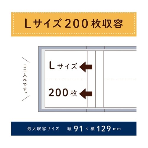 アルバム ボタニカルシルバー XP−33