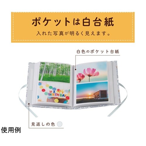 アルバム ボタニカルシルバー XP−33