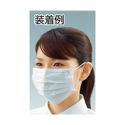 DPMECL エコマスク 100枚入