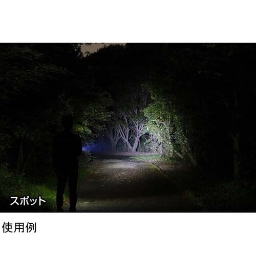 REXEEDシリーズ LEDフラッシュラ