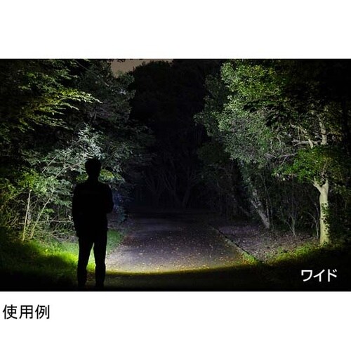 REXEEDシリーズ LEDフラッシュラ