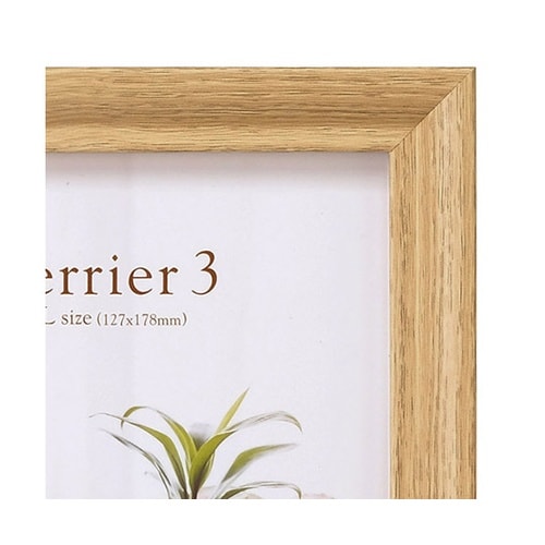 FWTR3−NT2L1フレーム テリア3