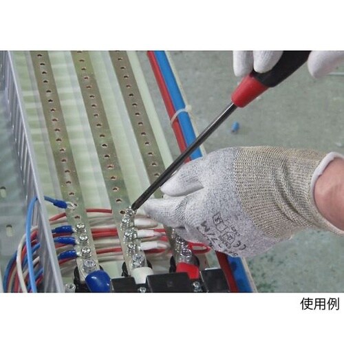 544−10P ケミスターパームFS S