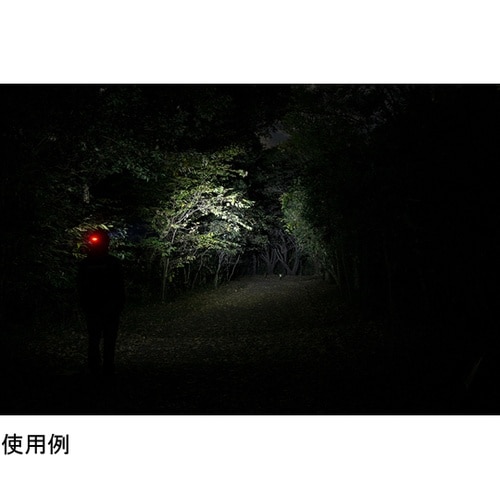 リバティ BOX着脱式ヘッドライト 充電