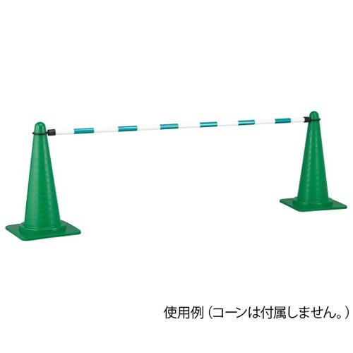 122104 コーンバーD(大) トラ柄