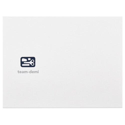 チームデミ TD−001 こん 3021