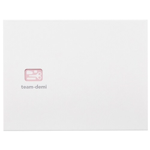 チームデミ TD−001 さくら 302