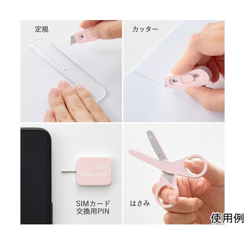 チームデミ TD−001 さくら 302