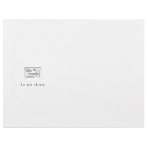 チームデミ TD−001 しろ 3021