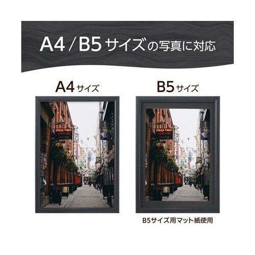 木製額 ピクスリアプラス A4 BK F