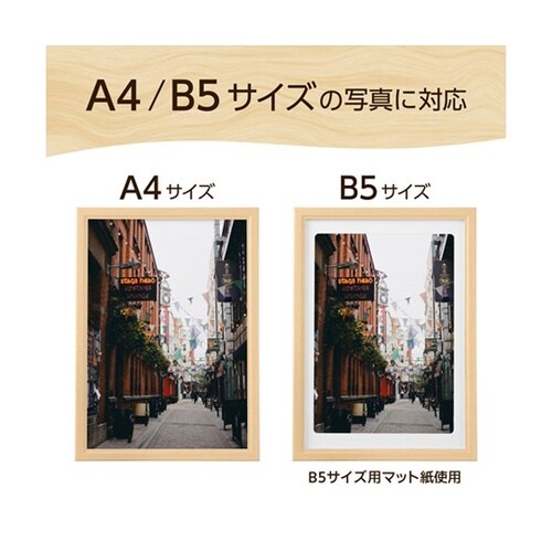 木製額 ピクスリアプラス A4 NT F