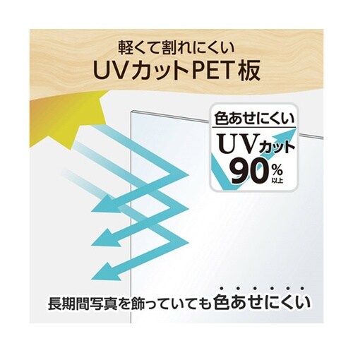 木製額 ピクスリアプラス A4 NT F