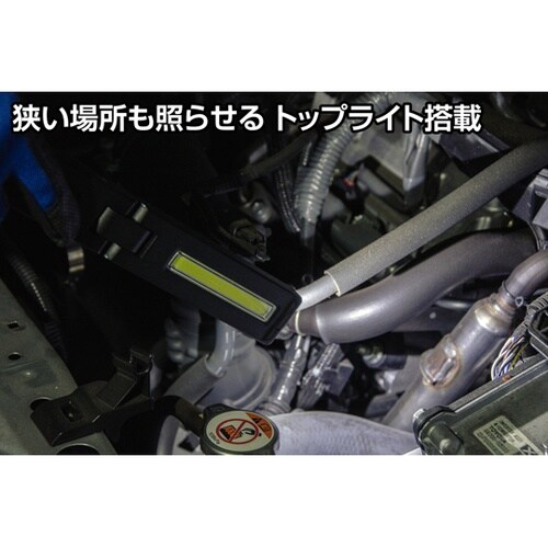 Ganz バータイプワークライト 600