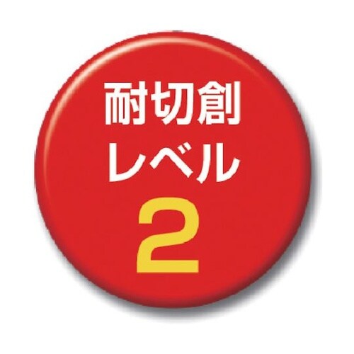 145LL カットレジストインナー10双