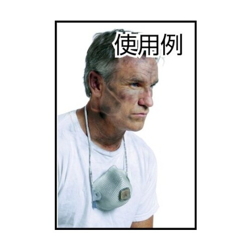 2607DS2 DS2防じんマスクM