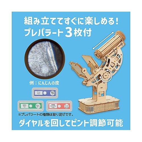 木製顕微鏡クラフトキット 58430