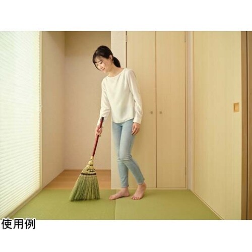 Daily Clean 座敷箒手編 短柄
