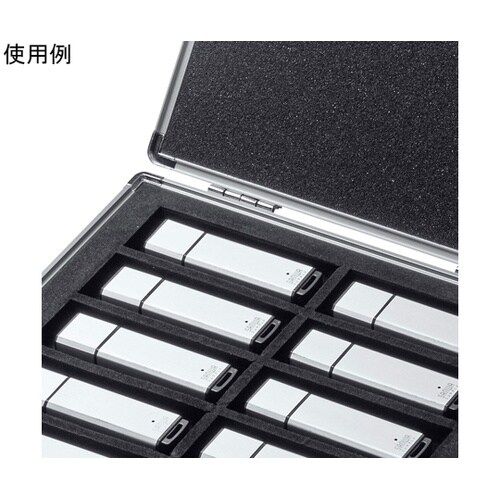 USBフラッシュメモリケース (10本収
