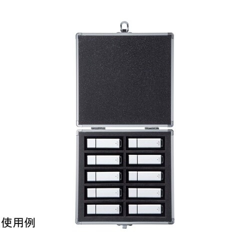 USBフラッシュメモリケース (10本収