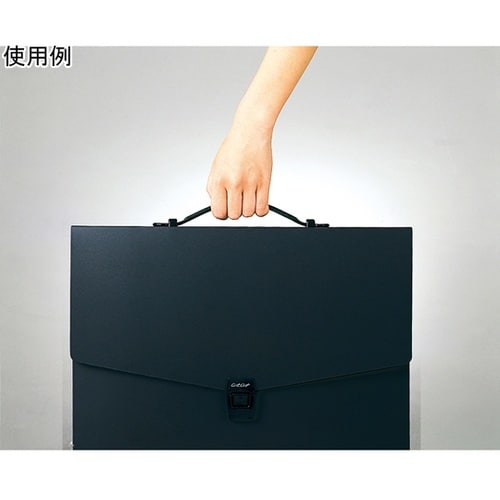 アルタートケース フラット ブラック A