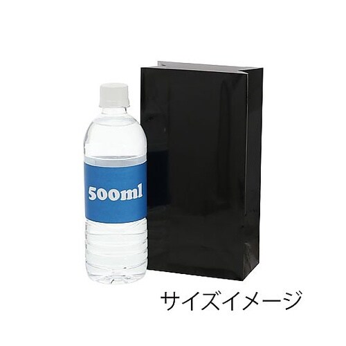 ギフトファンシーバッグ 1−220 黒