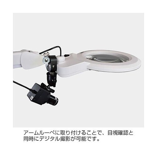 L−506 自由雲台(クランプ付)