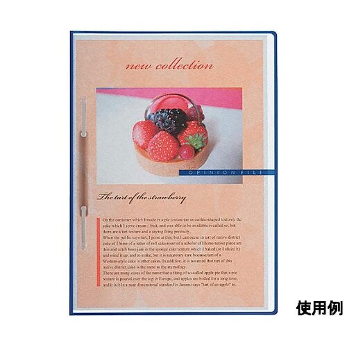 A4 オピニオンファイル(赤/10冊)