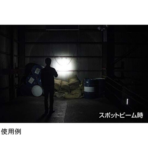 REXEEDシリーズ LEDフラッシュラ