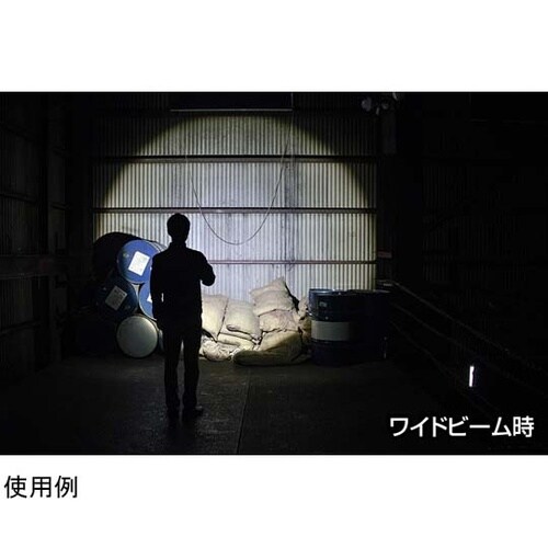 REXEEDシリーズ LEDフラッシュラ